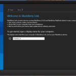 Blackberry Link 1